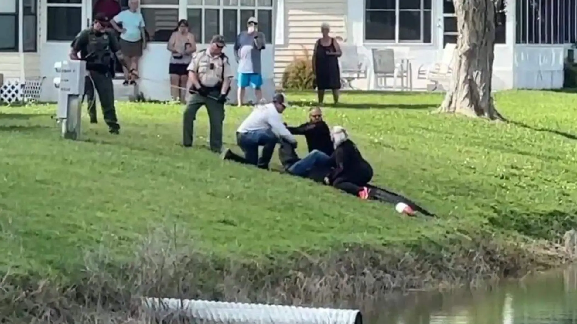 Caiman mata a mujer en Florida